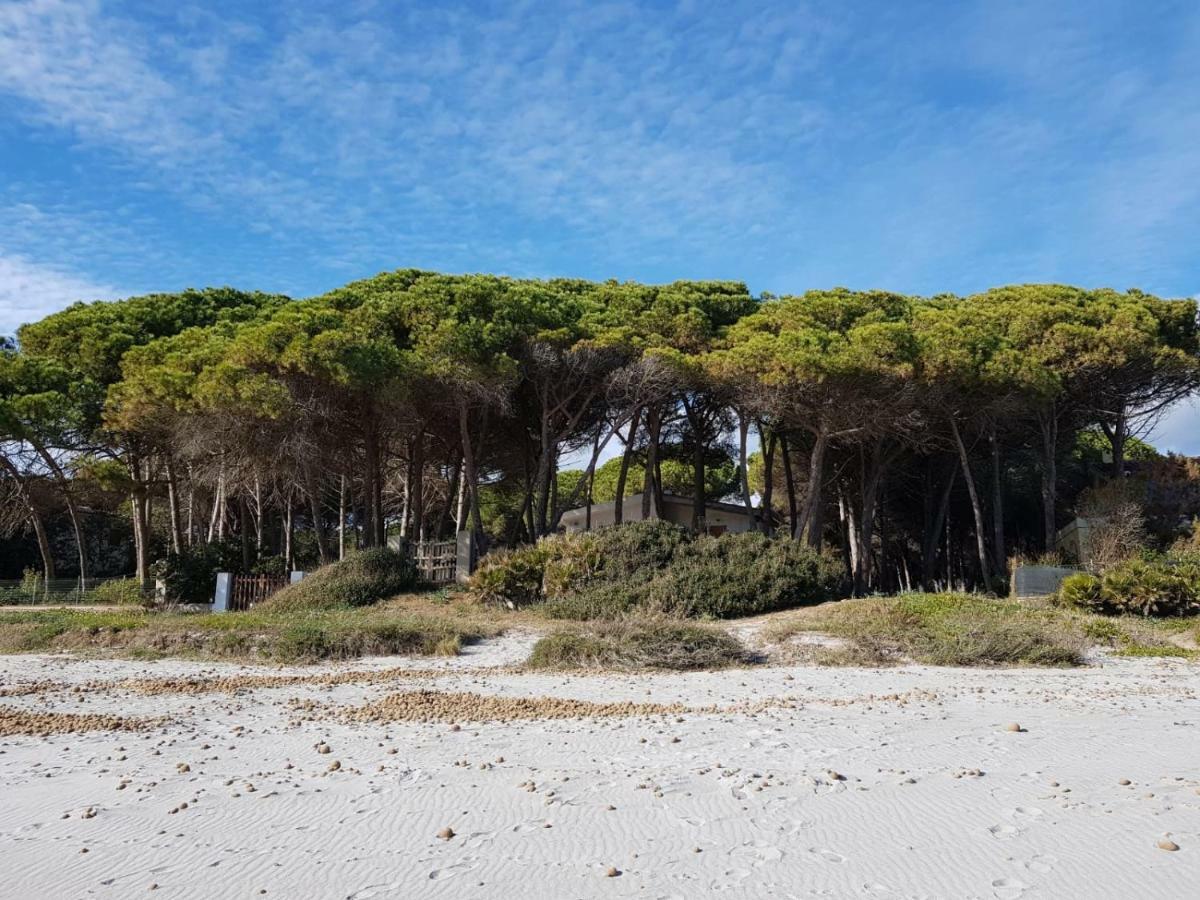 Mimosa Bilocale Cala Liberotto Exterior foto