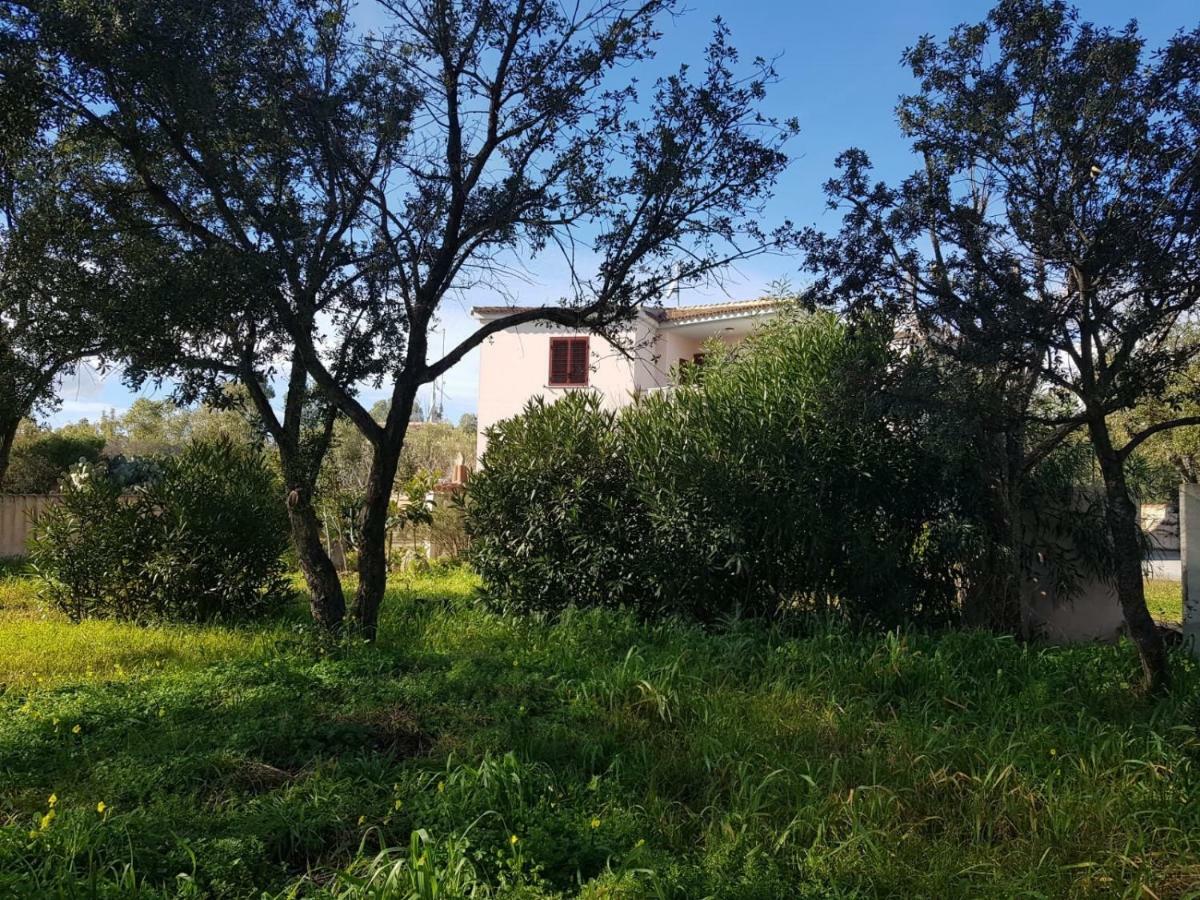 Mimosa Bilocale Cala Liberotto Exterior foto