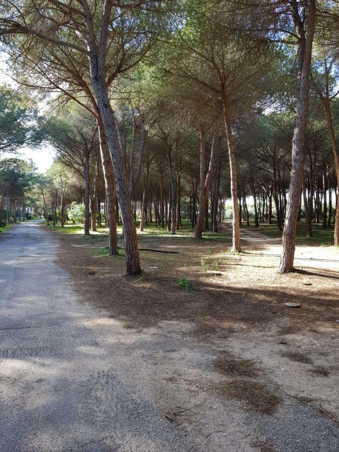 Mimosa Bilocale Cala Liberotto Exterior foto